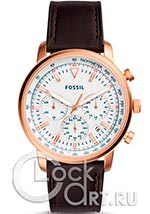 Мужские наручные часы Fossil Goodwin FS5415