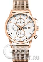 Мужские наручные часы Pierre Ricaud Chronograph P97201.9113CH