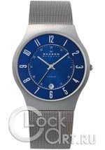 Мужские наручные часы Skagen Mesh Titanium 233XLTTN