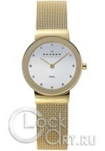 Женские наручные часы Skagen Mesh Classic 358SGGD