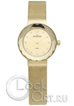 Женские наручные часы Skagen Mesh Classic 456SGSG