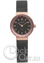 Женские наручные часы Skagen Mesh Classic 456SRM