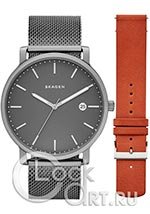 Мужские наручные часы Skagen Hagen SKW1081