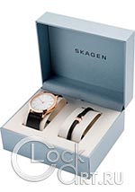 Мужские наручные часы Skagen Jorn SKW1102