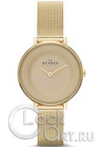 Женские наручные часы Skagen Mesh Classic SKW2212