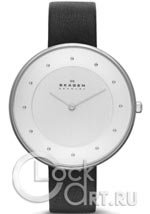 Женские наручные часы Skagen Gitte SKW2232