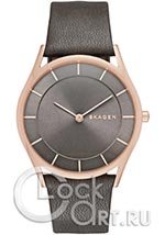 Женские наручные часы Skagen Holst SKW2346