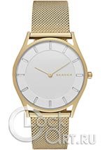 Женские наручные часы Skagen Holst SKW2377