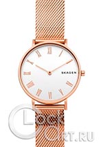Женские наручные часы Skagen Hald SKW2714