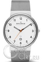 Мужские наручные часы Skagen Mesh Classic SKW6025