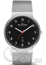 Мужские наручные часы Skagen Mesh Classic SKW6051