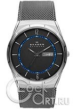 Мужские наручные часы Skagen Mesh Titanium SKW6078
