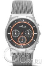 Мужские наручные часы Skagen Mesh Titanium SKW6135