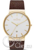Мужские наручные часы Skagen Ancher SKW6142
