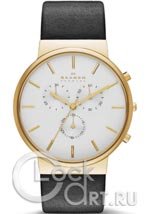 Мужские наручные часы Skagen Ancher SKW6143