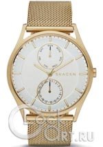 Мужские наручные часы Skagen Holst SKW6173