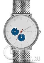 Мужские наручные часы Skagen Hald SKW6187