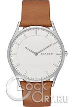 Мужские наручные часы Skagen Holst SKW6219