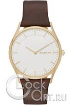 Мужские наручные часы Skagen Holst SKW6225