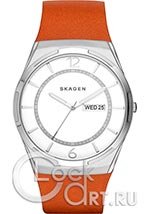 Мужские наручные часы Skagen Melbye SKW6304
