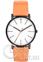 Мужские наручные часы Skagen Signatur SKW6352