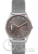 Мужские наручные часы Skagen Holst SKW6396