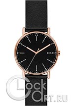 Мужские наручные часы Skagen Signatur SKW6401