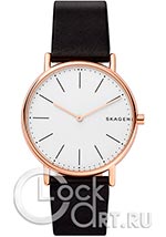 Мужские наручные часы Skagen Holst SKW6430