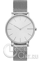 Мужские наручные часы Skagen Hagen SKW6442