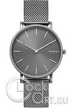 Мужские наручные часы Skagen Hagen SKW6445