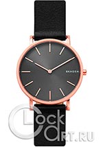 Мужские наручные часы Skagen Hagen SKW6447