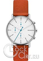 Мужские наручные часы Skagen Signatur SKW6462