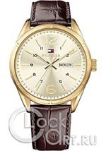 Мужские наручные часы Tommy Hilfiger Charlie 1791059