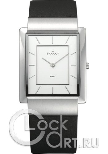 Мужские наручные часы Skagen Leather Rectangular 224LSL