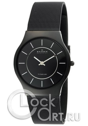 Мужские наручные часы Skagen Mesh Titanium 233LTMB
