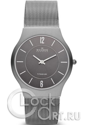 Мужские наручные часы Skagen Mesh Titanium 233LTTM