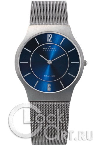 Мужские наручные часы Skagen Mesh Titanium 233LTTN