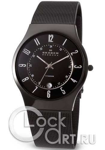 Мужские наручные часы Skagen Mesh Titanium 233XLTMB