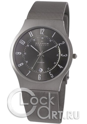 Мужские наручные часы Skagen Mesh Titanium 233XLTTM