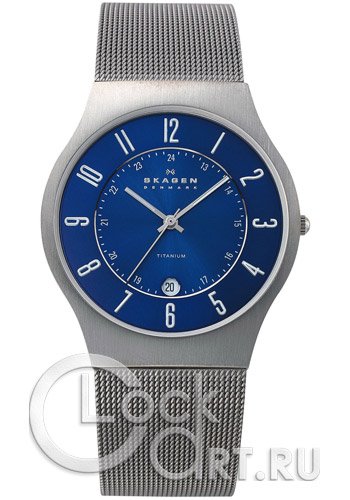 Мужские наручные часы Skagen Mesh Titanium 233XLTTN