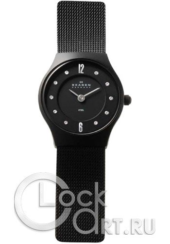 Женские наручные часы Skagen Mesh Classic 233XSBSB