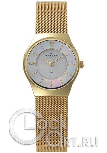 Женские наручные часы Skagen Mesh Classic 233XSGG