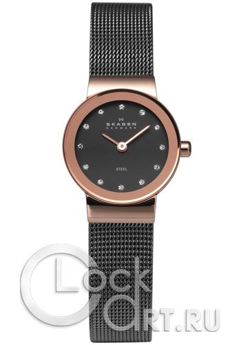 Женские наручные часы Skagen Mesh Classic 358XSRM