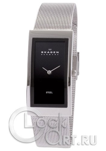 Женские наручные часы Skagen Mesh Rectangular 359USSB