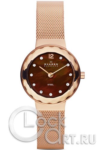 Женские наручные часы Skagen Mesh Classic 456SRR1