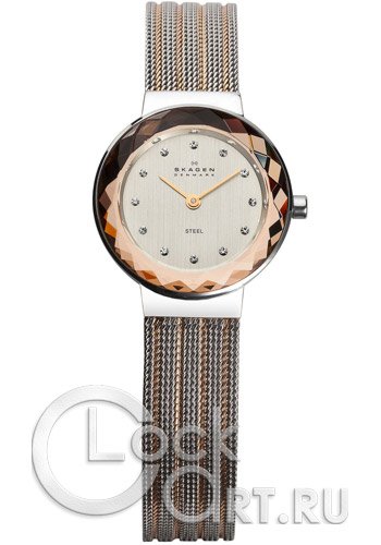 Женские наручные часы Skagen Mesh Classic 456SRS1