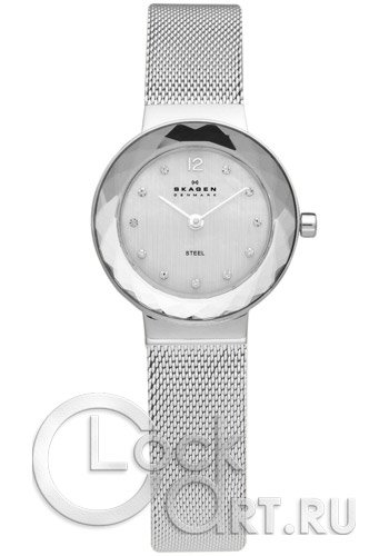 Женские наручные часы Skagen Mesh Classic 456SSS