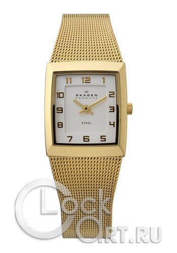 Женские наручные часы Skagen Mesh Rectangular 523XSGG