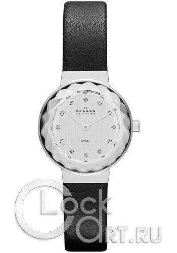 Женские наручные часы Skagen Leather Classic SKW2005