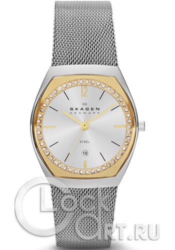 Женские наручные часы Skagen Mesh Classic SKW2050